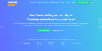 RAIDBOXES Web Hosting Provider Review